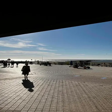 In With Marina Views شقة *